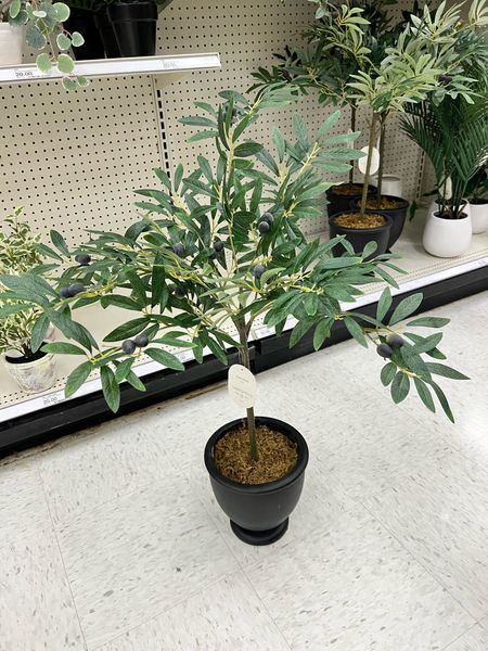 Do I need this olive tree?? It’s 30% off and I just love it🤩

#LTKhome #LTKsalealert