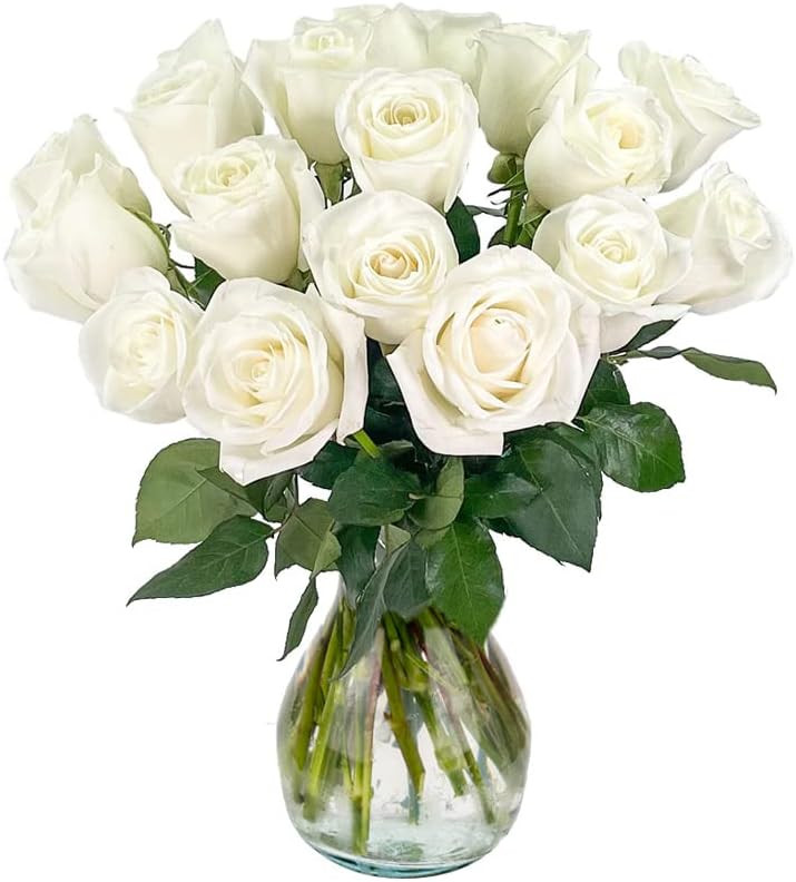 DELIVERY by Valentine’S Day Arabella Bouquets 18 White Roses with vase (Fresh Cut Flowers) | Amazon (US)