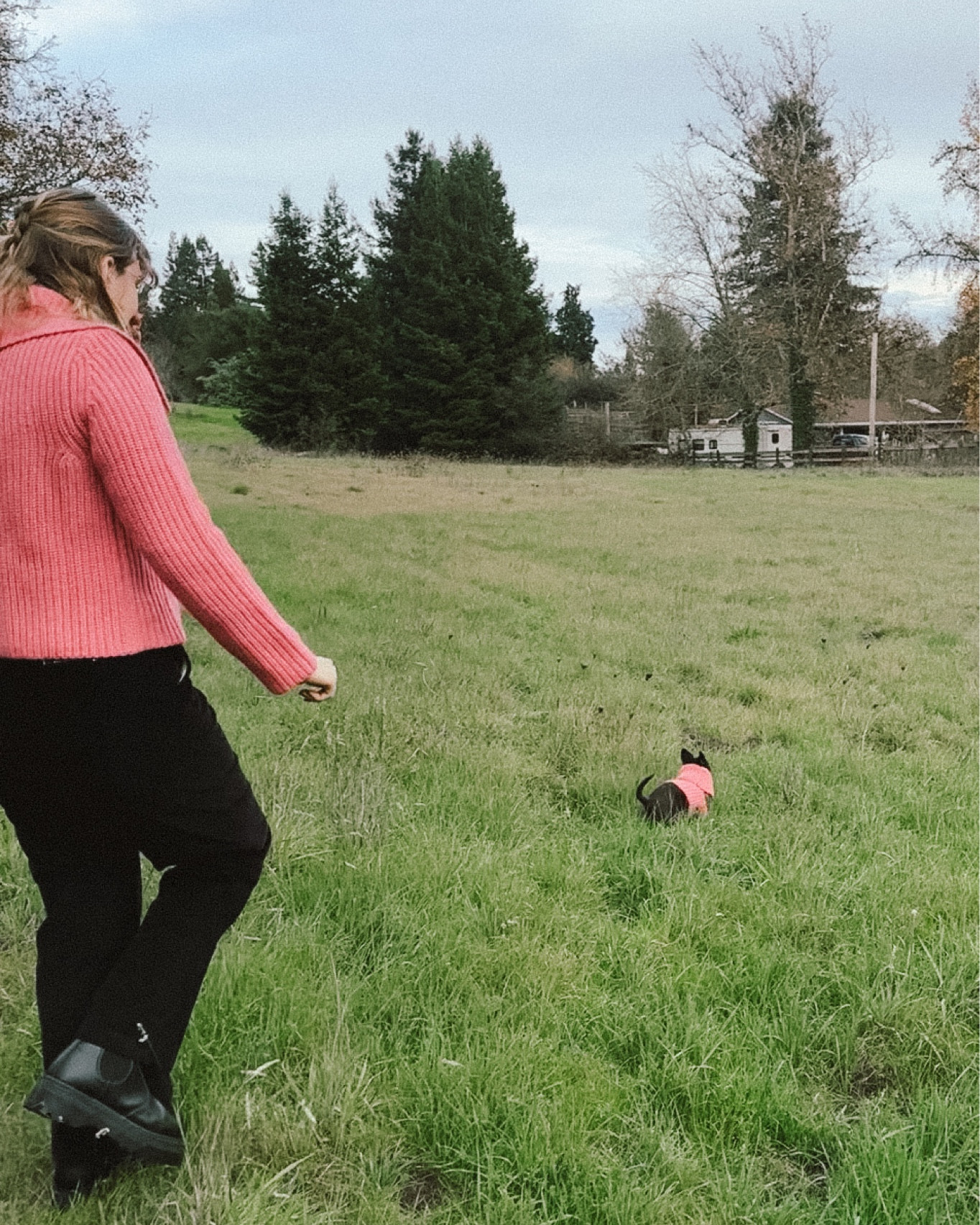 Christmas Day in California, December 2023!

While this matching dog and human sweater set from Little Beast & Sandy Liang is out of stock, I’ve linked the dog sweaters from the Little Beast & Lisa Says Gah collaboration in this post! 

My favorite thing about this outfit are these boots that I wear any time it’s cold or wet outside. The platform keeps my feet out of the wet/cold and the vegan leather is really weatherproof. Plus, since they don’t have the typical yellow Dr Marten stitching, I can wear them to work or casually. 

#LTKSeasonal #LTKshoecrush #LTKmidsize