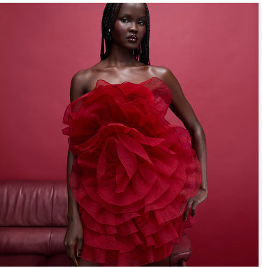 Valentine's day special dress :Bandeau velvet 3D floral ruffle bodice mini dress in red 

 

#LTKNYFW #LTKValentine