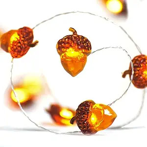 BOHON Thanksgiving Decorations Acorn Lights String 10ft 40 LEDs Fairy String Lights Battery Opera... | Amazon (US)