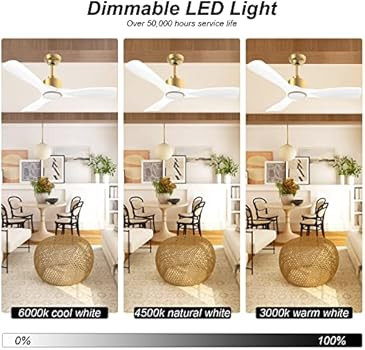 52 Inch Indoor Outdoor Modern Ceiling Fan with Light Remote Control & Quiet DC Motor, Smart Wifi ... | Amazon (US)