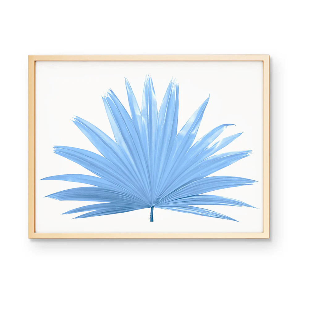 Fan Palm | Urban Garden Prints