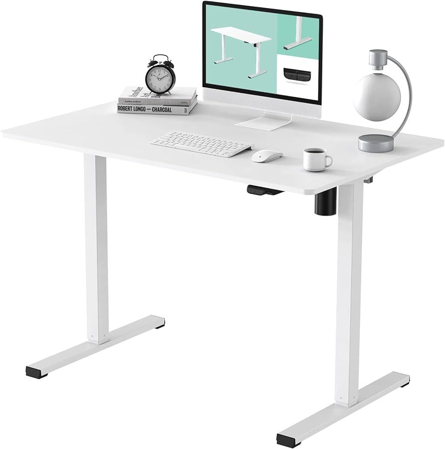 FLEXISPOT White Standing Desk 48 x 24 Inches Height Adjustable Desk, Whole-Piece Desktop Electric Si | Amazon (US)