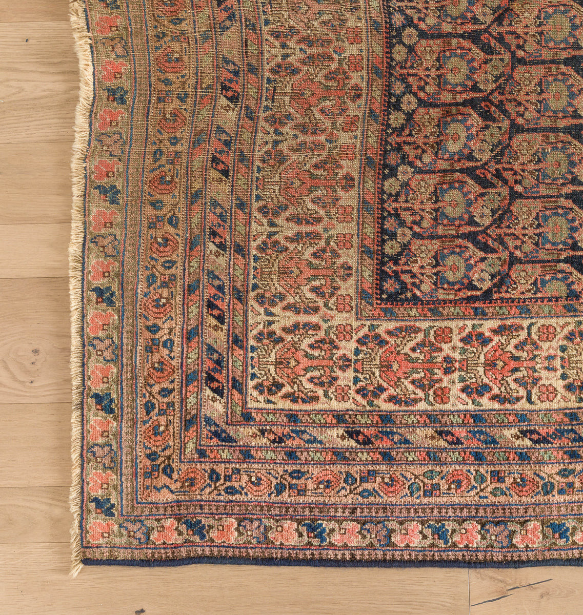 Afshar Rug 6'7" x 5" | Amber Interiors
