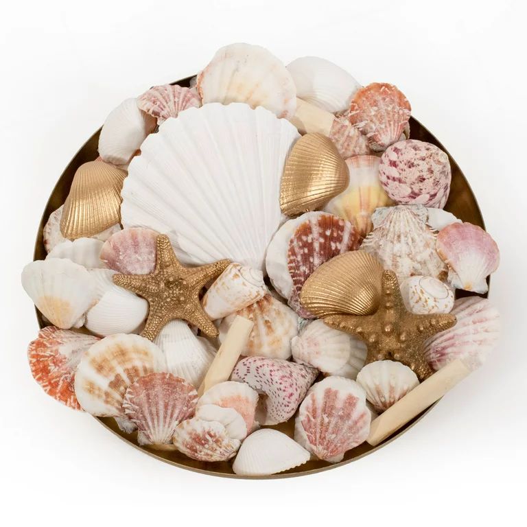 Botanical Avenue Decorative Vase Filler with Natural Seashells and Gold Accent Pieces | Walmart (US)