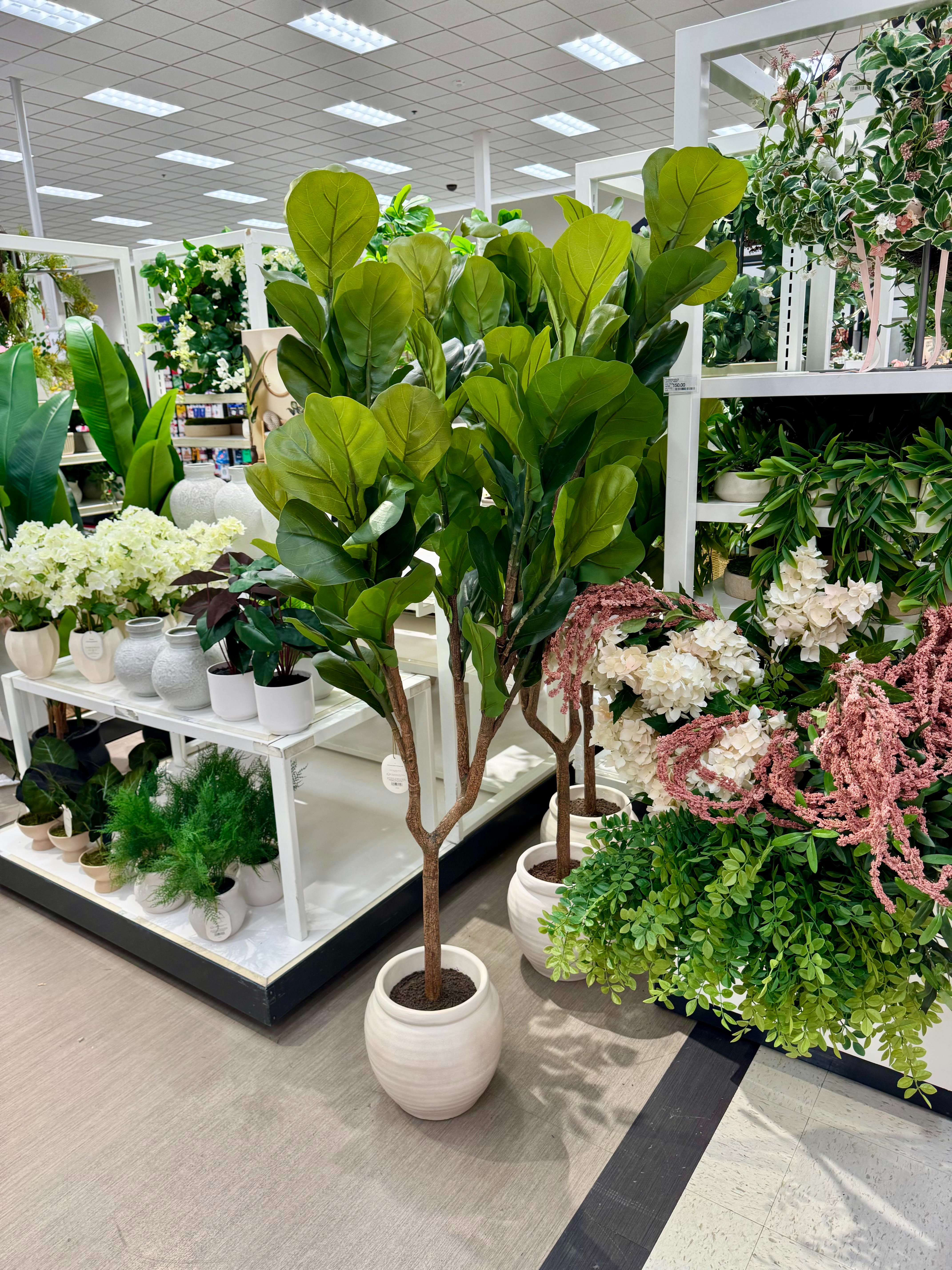 Check out these new faux trees, stems, and plants at target!

Home Decor | Ava Ketels | Ketels Coast | Target Decor | Coastal Living | Indoor Plants | Outdoor Faux Plants | 

#LTKHome #LTKFamily #LTKSalealert 

 #LTKmomlife #LTKU