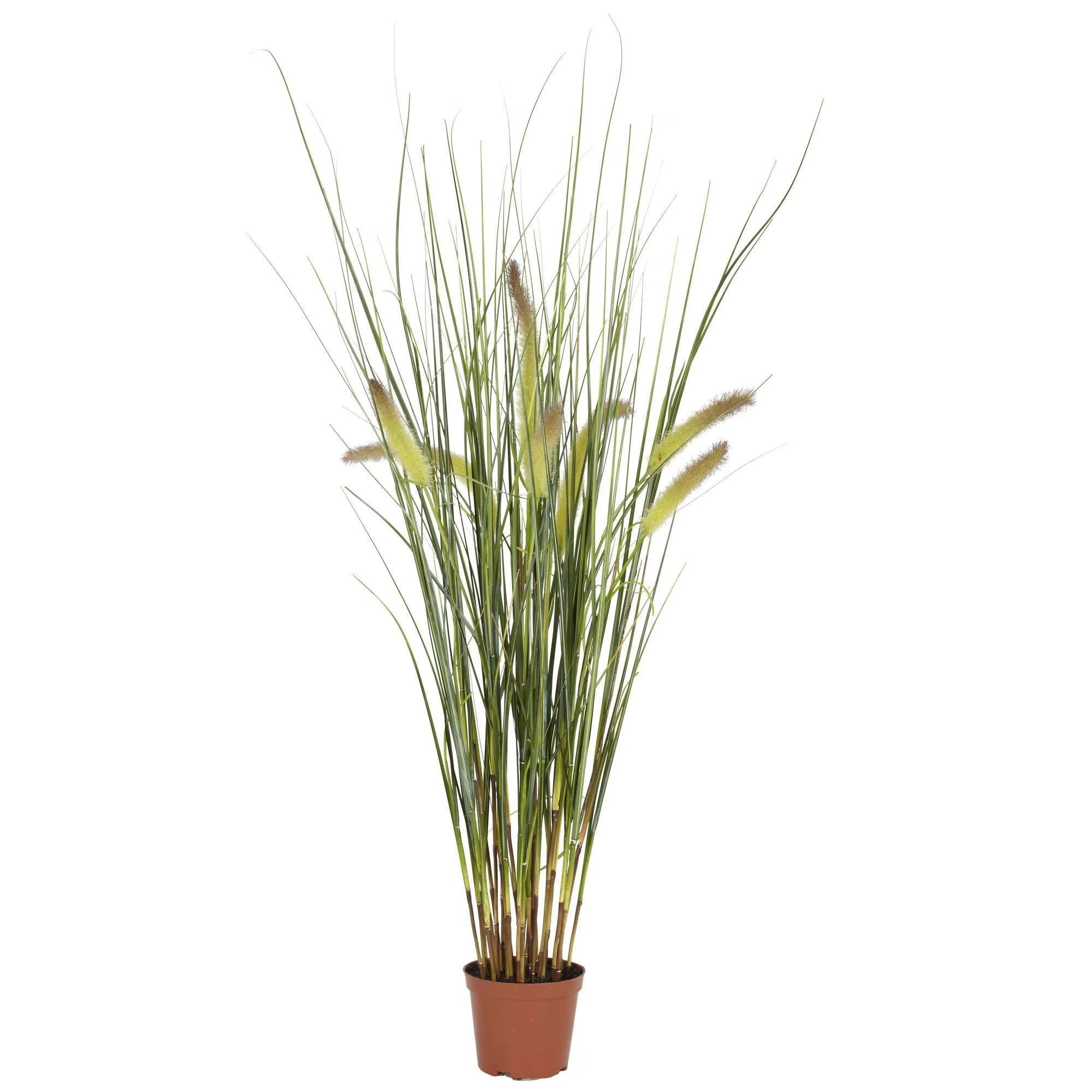 2.5' Grass Plant | Nearly Natural | Nearly Natural