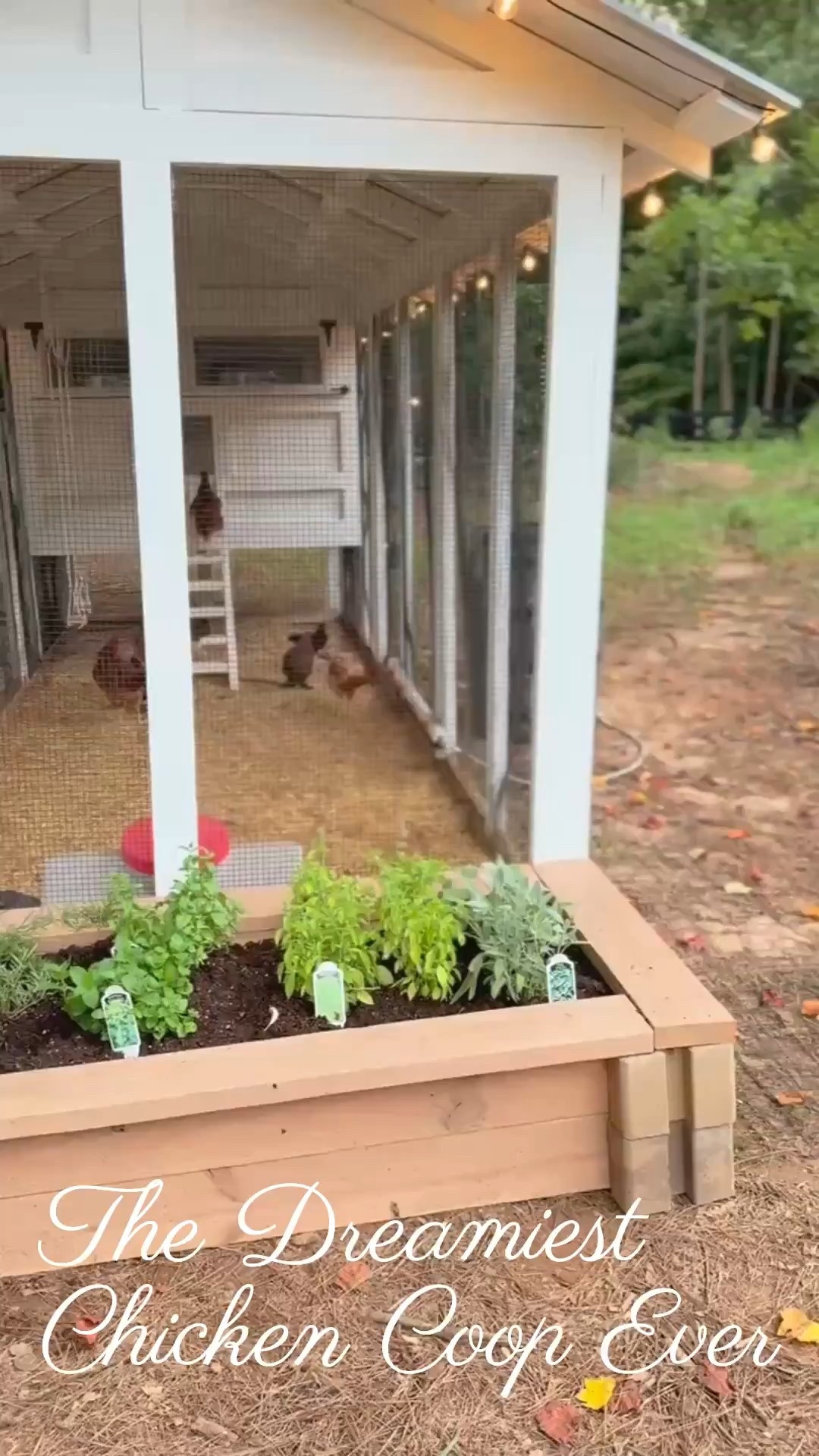 🐓 Who says chicken coops can’t be stylish? This Modern Classic coop proves that functionality and beauty belong together—even in the backyard!

Do you want to bring our dreamy Modern Classic style interior design into your own home? 🏡 You’re in luck! Reserve our Online Interior Design packages today -> https://porcheandco.com/edesign ✨ We can’t wait to work with you & design your home with #porcheandco

#porcheandco #backyarddesign #modernclassicstyle #chickencoopdesign #farmhousechic #outdoordecor #modernclassicinteriors #backyardliving #timelessstyle #homedesign



#LTKvlog #LTKHome #LTKstorytime