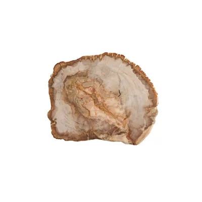 Petrified Slice Cheese Board & Platter | Wayfair North America