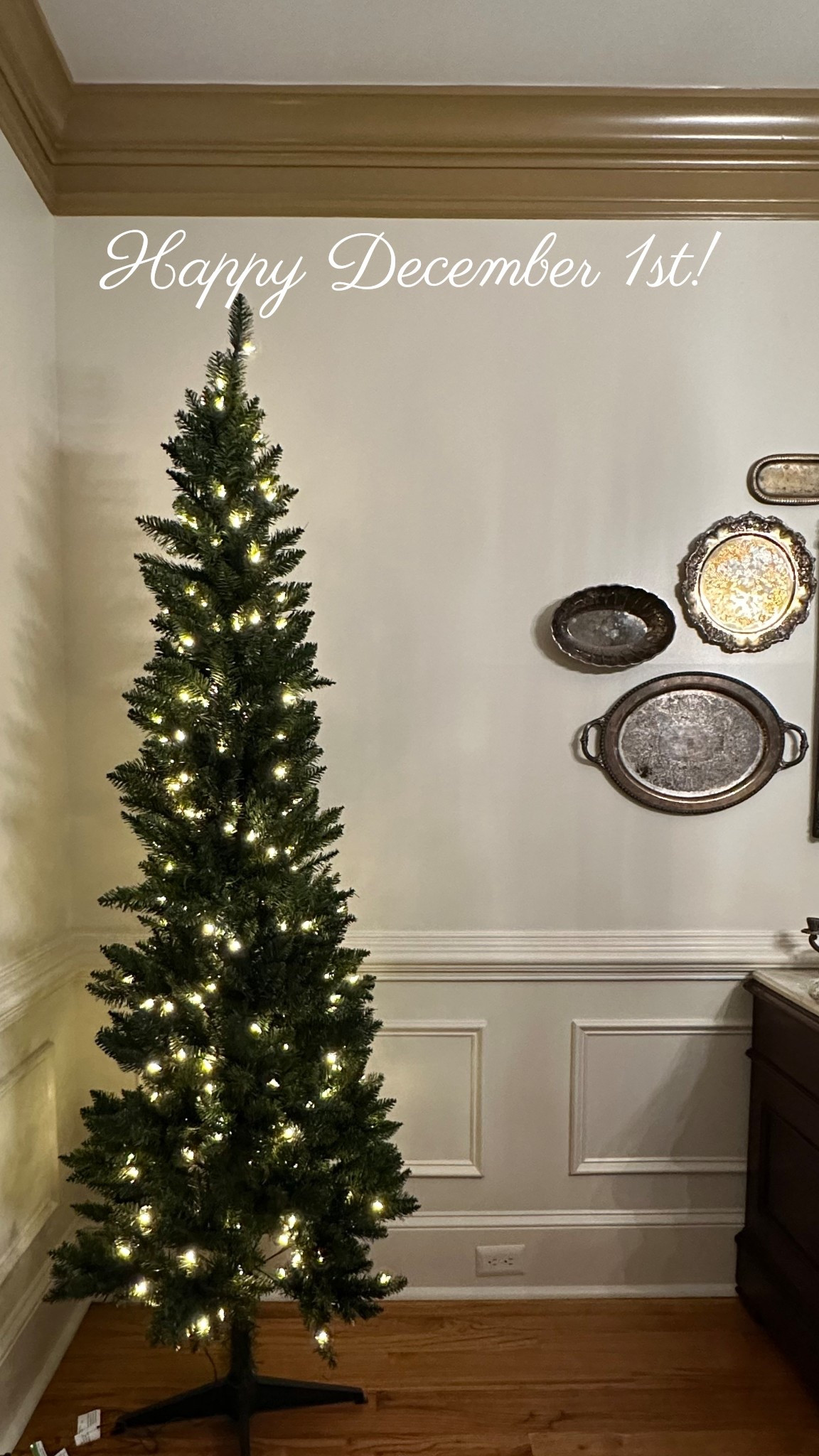 Happy December 1st! Now that the November birthday’s, and hosting Thanksgiving are finished, I can begin decorating for Christmas 🎄

I got this 7 ft pre lit skinny tree to go in the dining room next to the sideboard, and I think it needs a friend for the other side too. Right?!



#LTKHoliday #LTKHome #LTKFindsUnder100