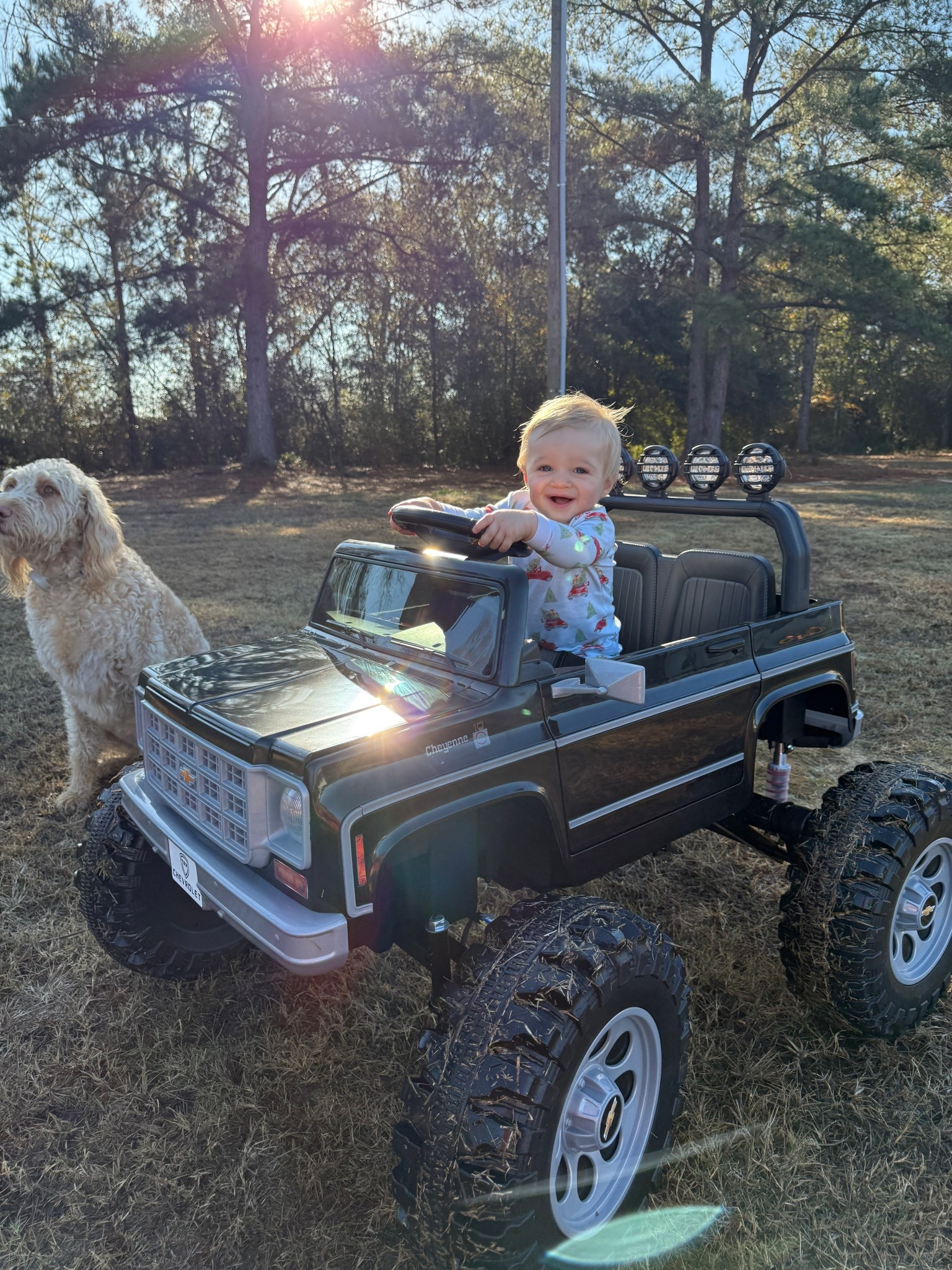 Cutest truck for your little one!