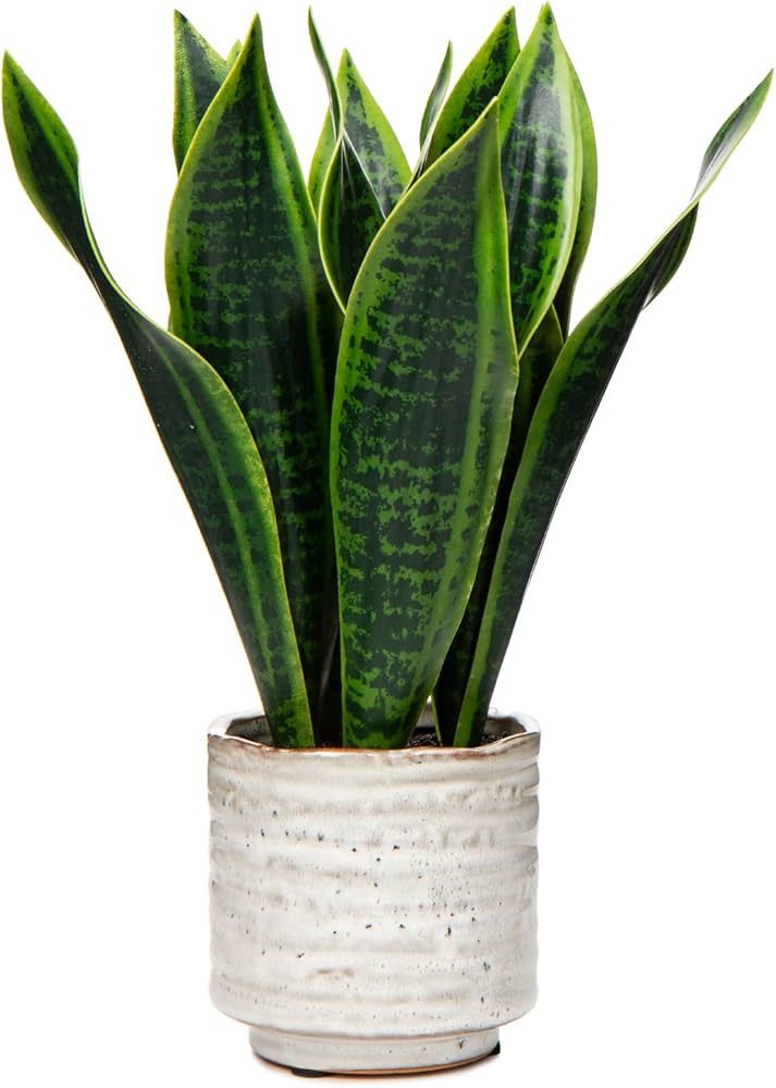 Hollyone Artificial Snake Plant with Ceramic Pot, 12" Tropical Fake Snake Plant Potted Faux Sanse... | Amazon (US)