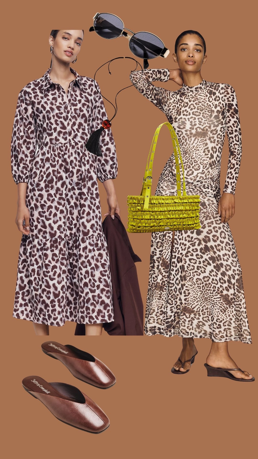 🐆 🐆🐆🐆🐆