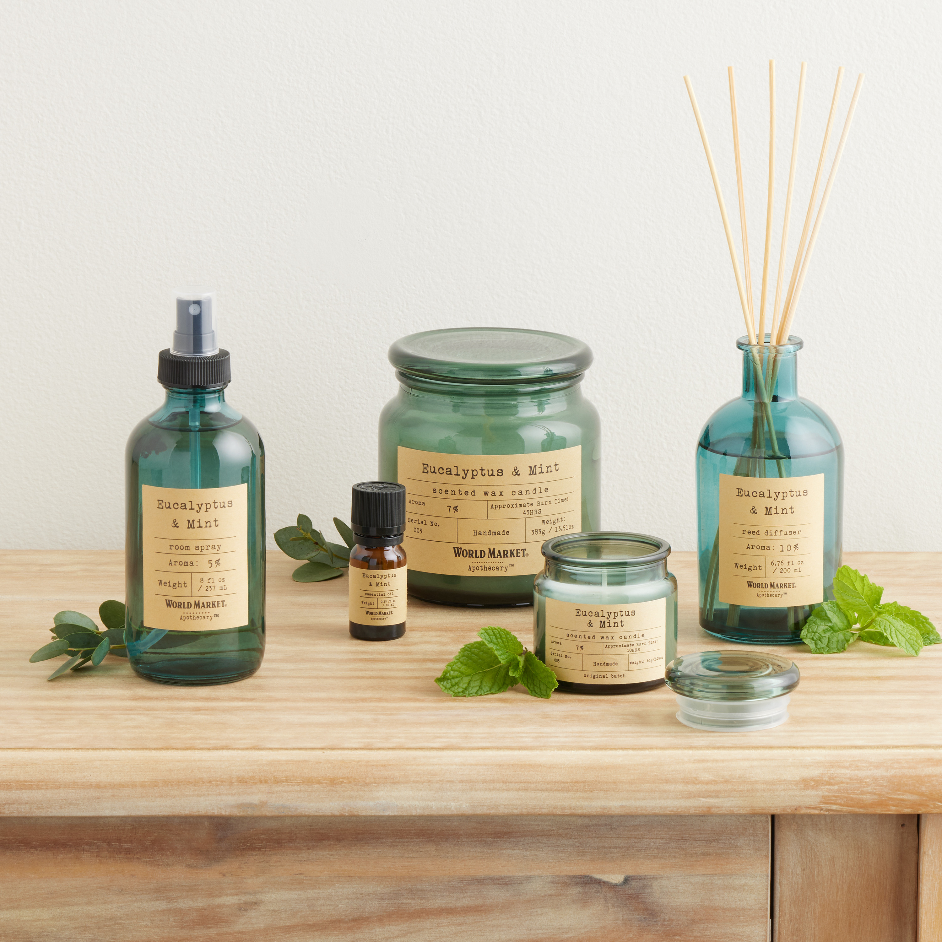Apothecary Eucalyptus & Mint Home Fragrance Collection | World Market