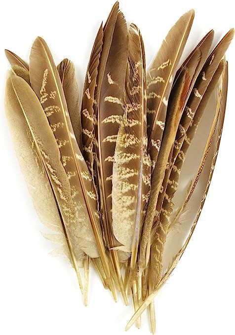 Touch of Nature 38192 Pheasant Wing Quill, 7-Inch | Amazon (US)