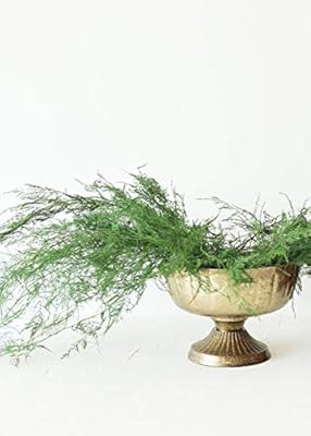 Afloral Distressed Gold Metal Compote Bowl - 5.5" Tall | Amazon (US)