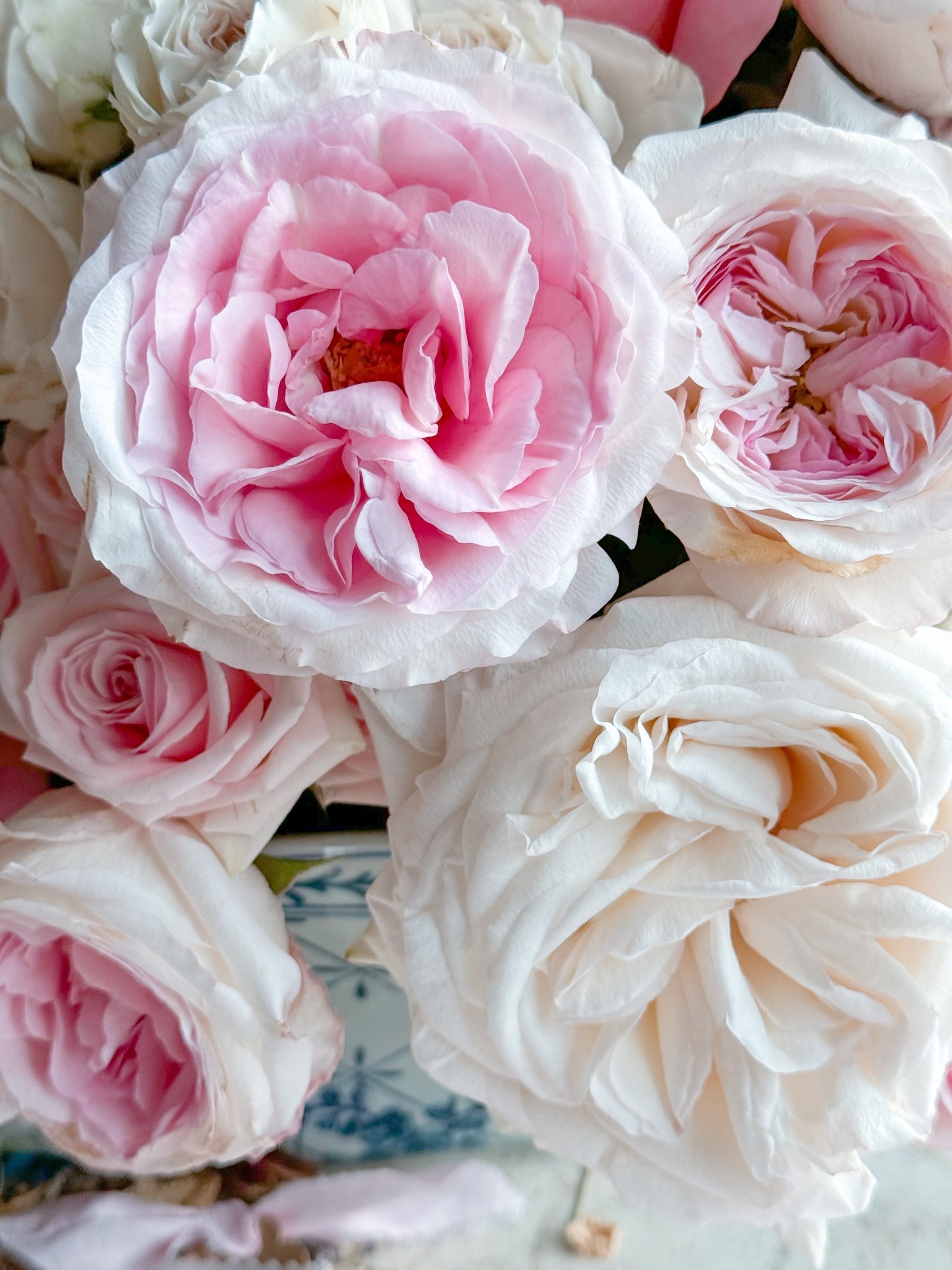 Get Mayra’s Bridal Pink cut flowers at a heck of a deal!!  

#LTKspring #LTKHome #LTKWedding