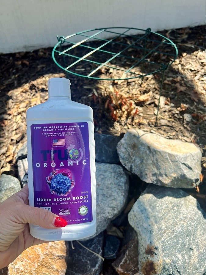 This fertilizer is the best for my peonies! A go-to I keep reaching for again and again 🌸

#LTKHome #LTKSaleAlert #LTKSeasonal