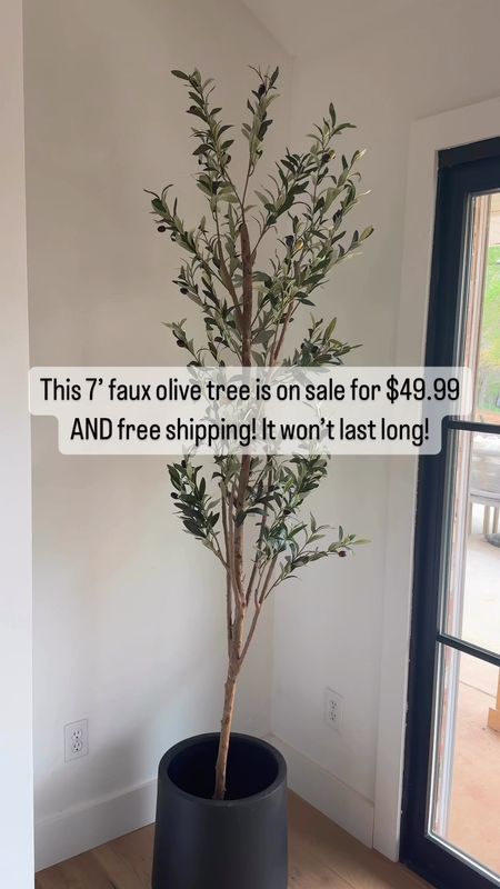 This 7” faux olive tree is on sale for $49.99 and free shipping! 

#LTKhome #LTKfindsunder50 #LTKsalealert