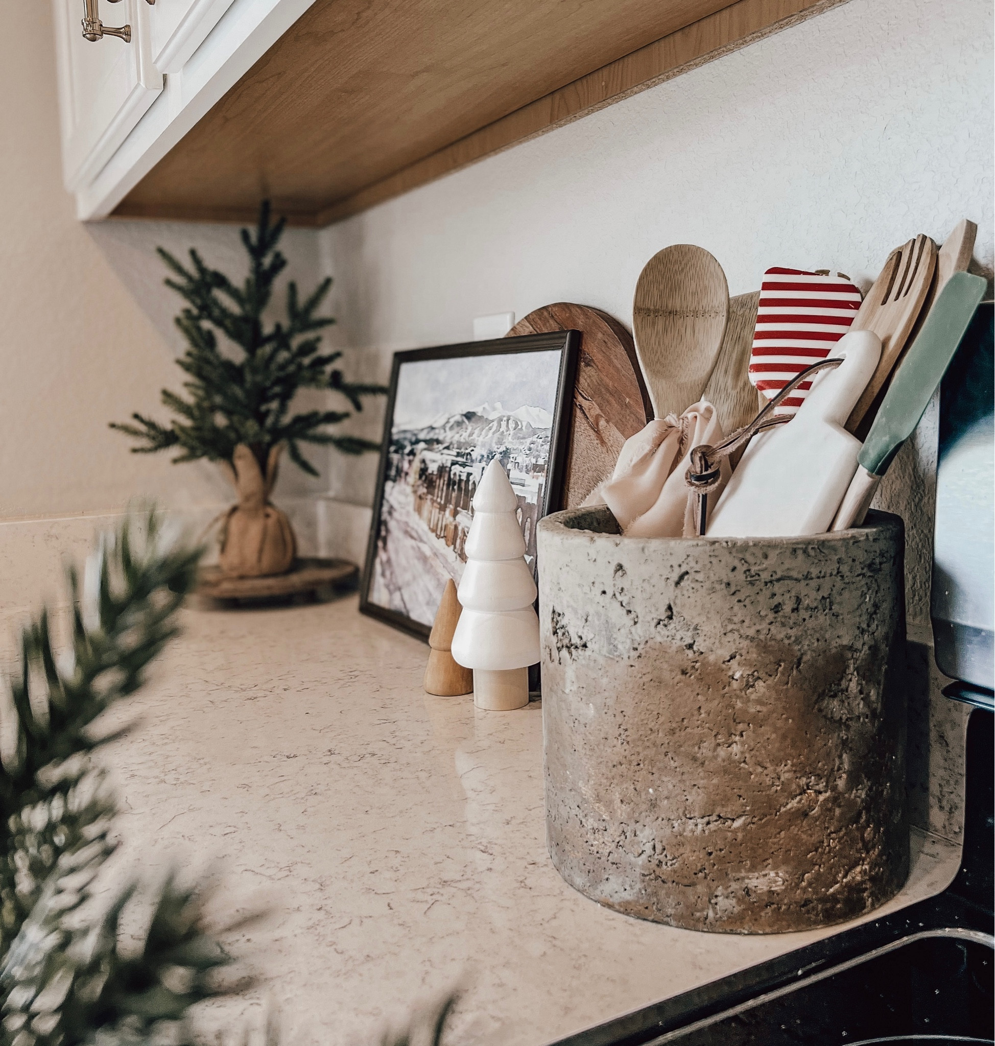 i use this planter as a kitchen crock! it’s cheap and ON SALE rn!! #homedecor #homedecorsale

#LTKCyberweek #LTKSeasonal #LTKhome