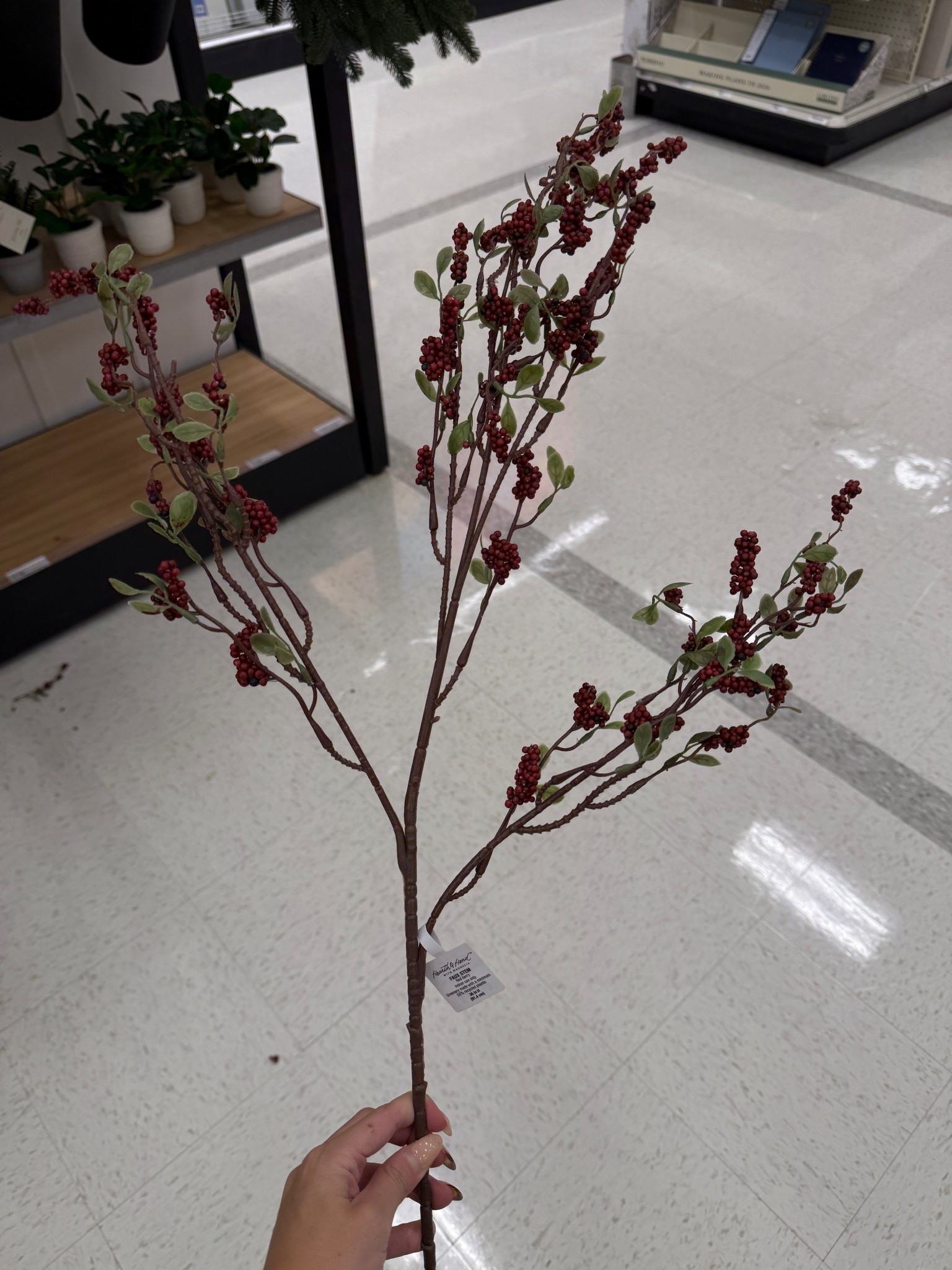 Minimal Christmas stem! 😍

#LTKSeasonal #LTKHome #LTKHoliday