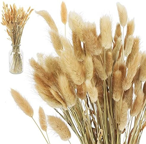Amazon.com: JOHOUSE 120PCS Natural Rabbit's Tail Grass, 16inch Dried Pampas Grass Eternal Flower ... | Amazon (US)