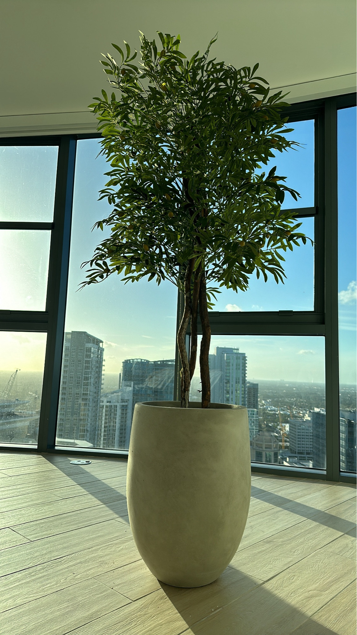 #LTKSummerSales #LTKHomeFinds #LTKPrimeDay

#LTKSaleAlert #LTKU #LTKHome