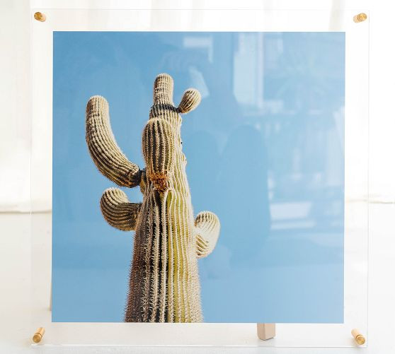 Acrylic Floating Double Panel Wall Frame | Pottery Barn (US)