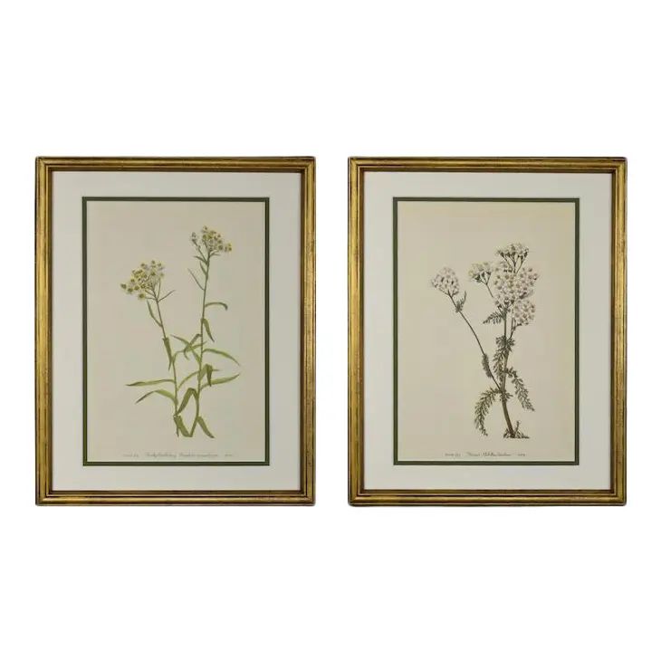 1950s Botanical Wildflower Prints, Framed - Set of 2 | Chairish