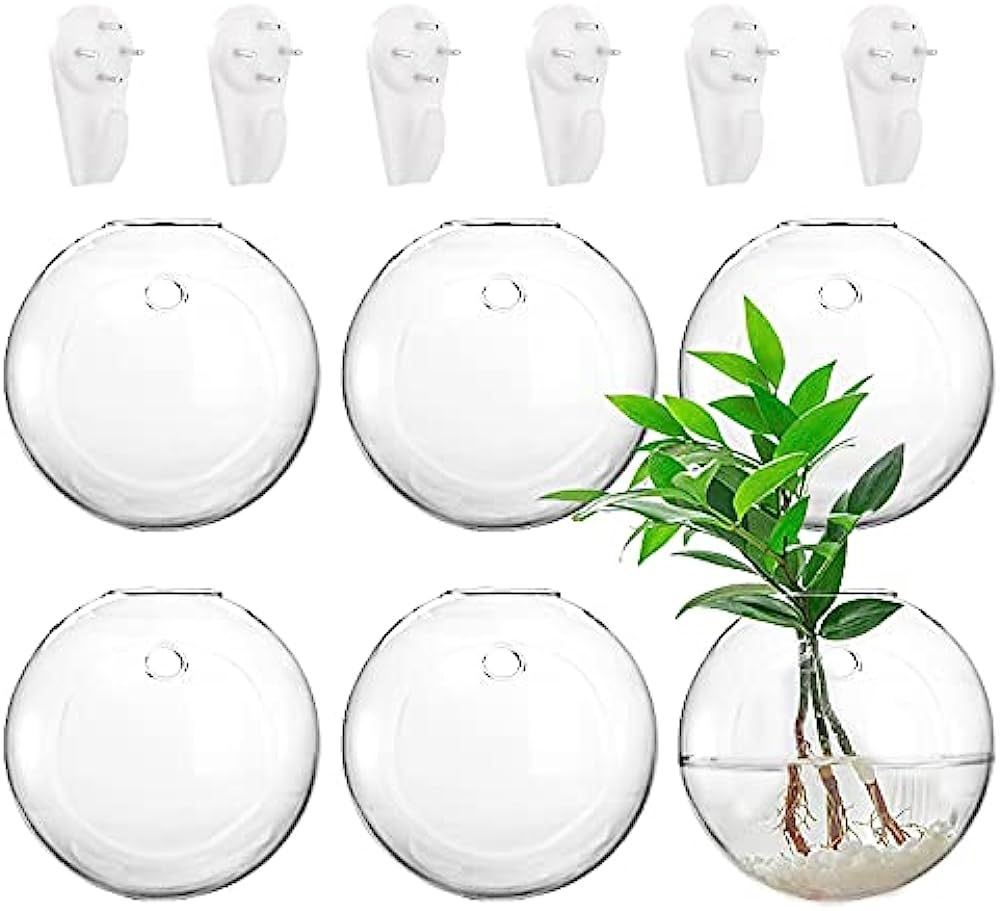 Amazon.com: Yarlung Set of 6 Wall Hanging Planters Terrarium, Glass Oblate Globe Plants Container... | Amazon (US)