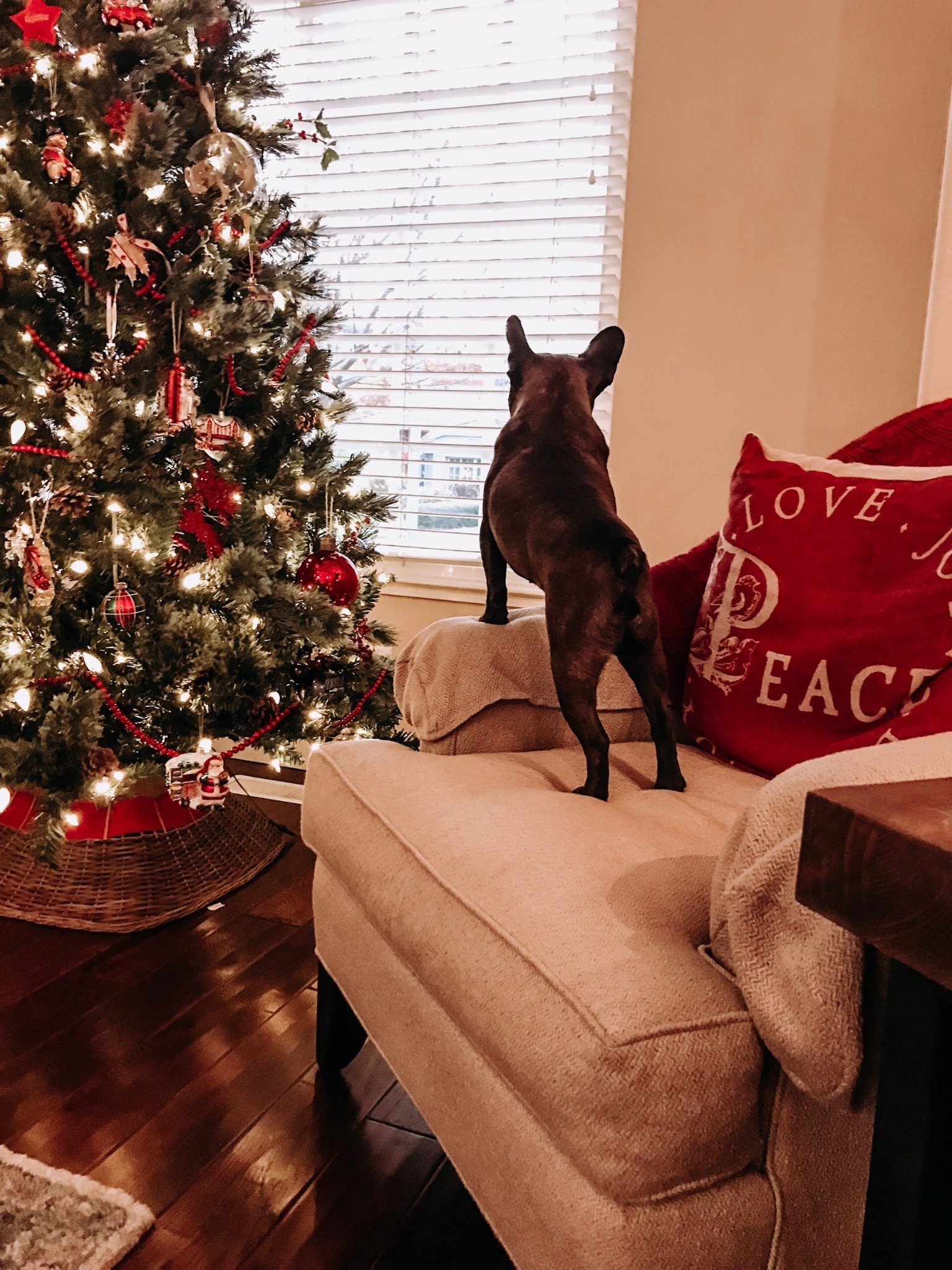 Last call for Christmas pillows. 


#LTKHoliday #LTKSeasonal #LTKGiftGuide