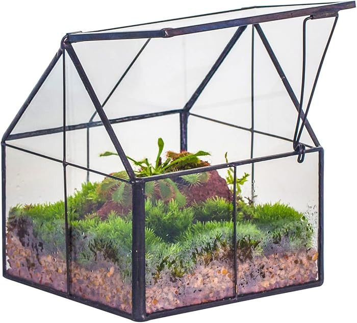 NCYP Mini Glass Geometric Terrarium with Lid - 4.25" x 4.25" x 4.92" Small House Shape Close Plan... | Amazon (US)