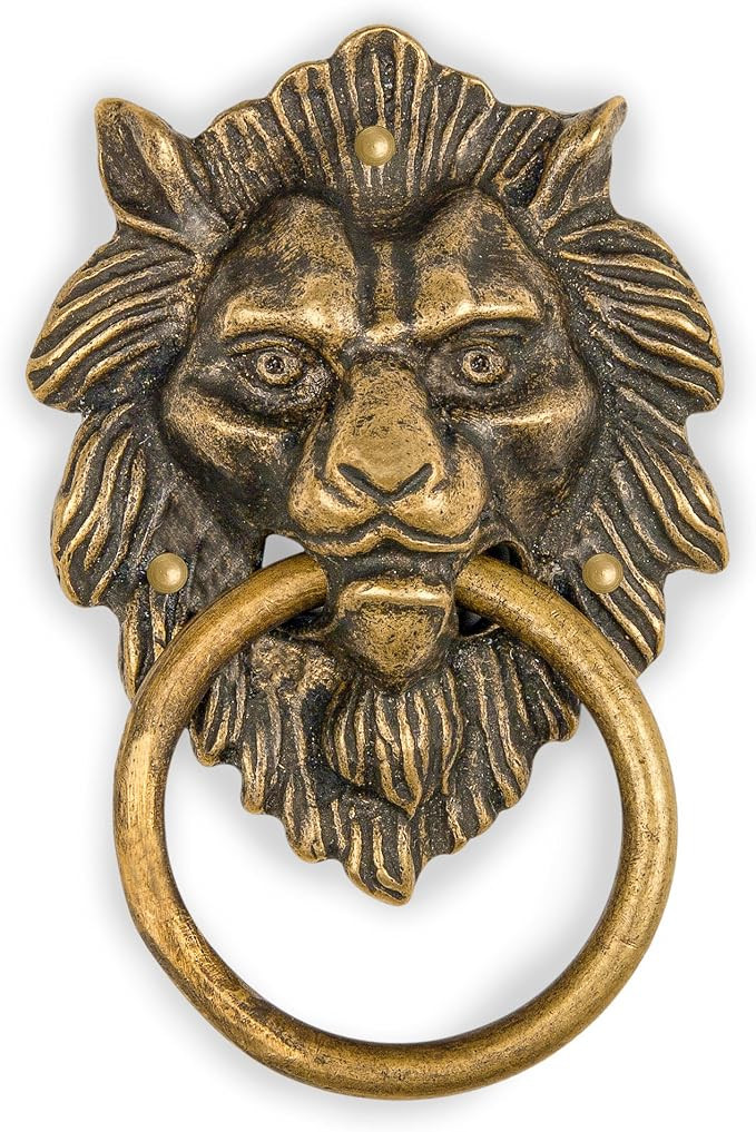 Hardware Philosophy Golden Hair Lion Brass Door Pull – 4.3" | Amazon (US)