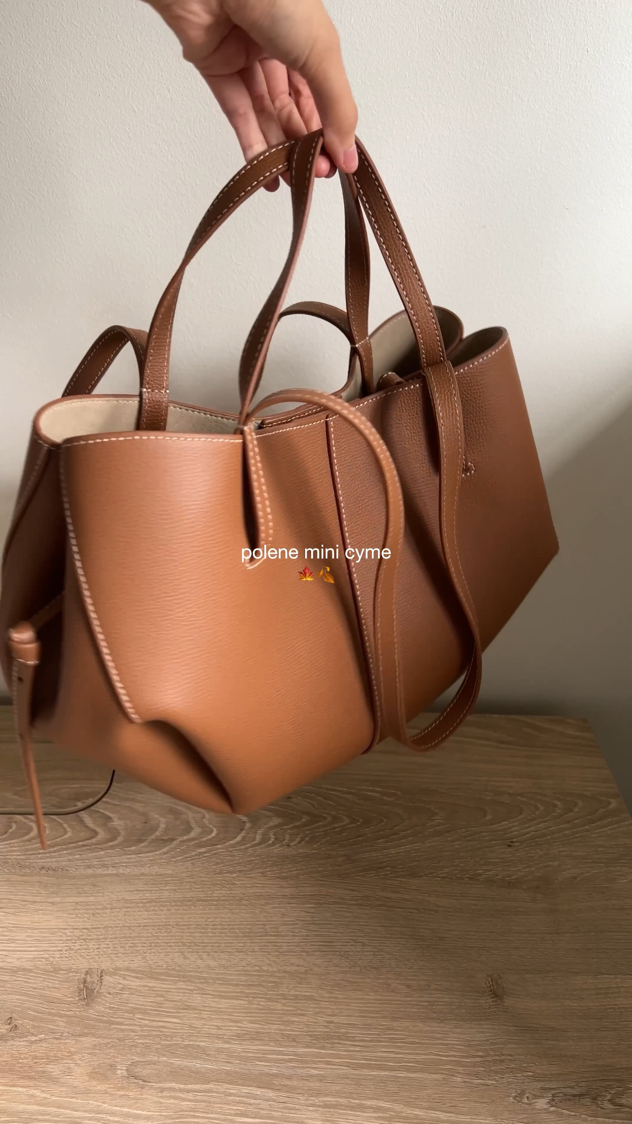 the perfect bag for the fall season!! polene mini cyme bag in textured camel. can be worn on the wrist or on the shoulder with tons of space inside! 

#LTKHolidaySale #LTKHoliday #LTKGiftGuide