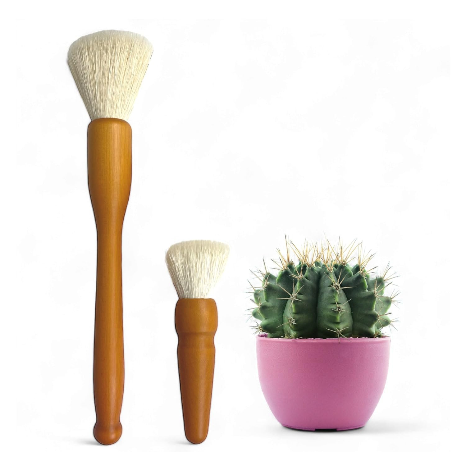 Southside Plant Cactus & Succulent Plants Cleaning Brushes - Wooden Handles w/Soft Goat Hair Bris... | Amazon (US)