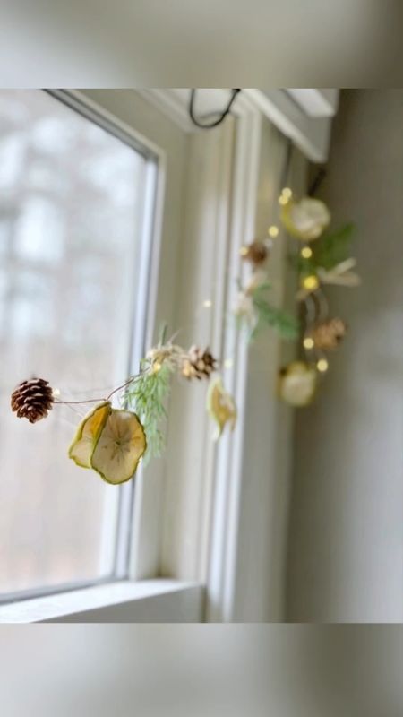Make this sweet Scandinavian style fruit garland! Hang it in your kitchen, mantel or Christmas tree this year! 
Visit the blog for instructions www.celebratednest.com 

#LTKSeasonal #LTKHoliday #LTKhome