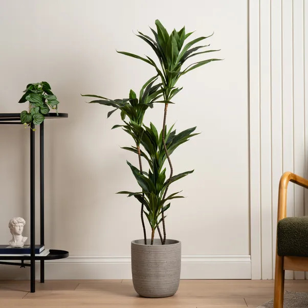 Artificial Real Touch Dracaena in Black Plant Pot | Dunelm (migrated)