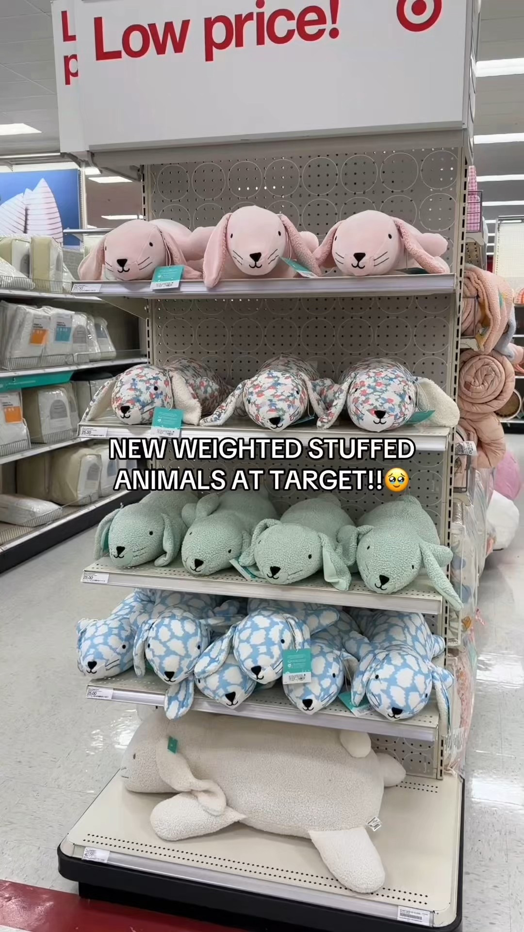 New weighted stuffed animals at Target!!🥹❤️ 

#target #targetfinds #stuffedanimal #spring #easter #plushie #giftguide #home #bedroom 

#LTKHome #LTKselfcare #LTKSeasonal