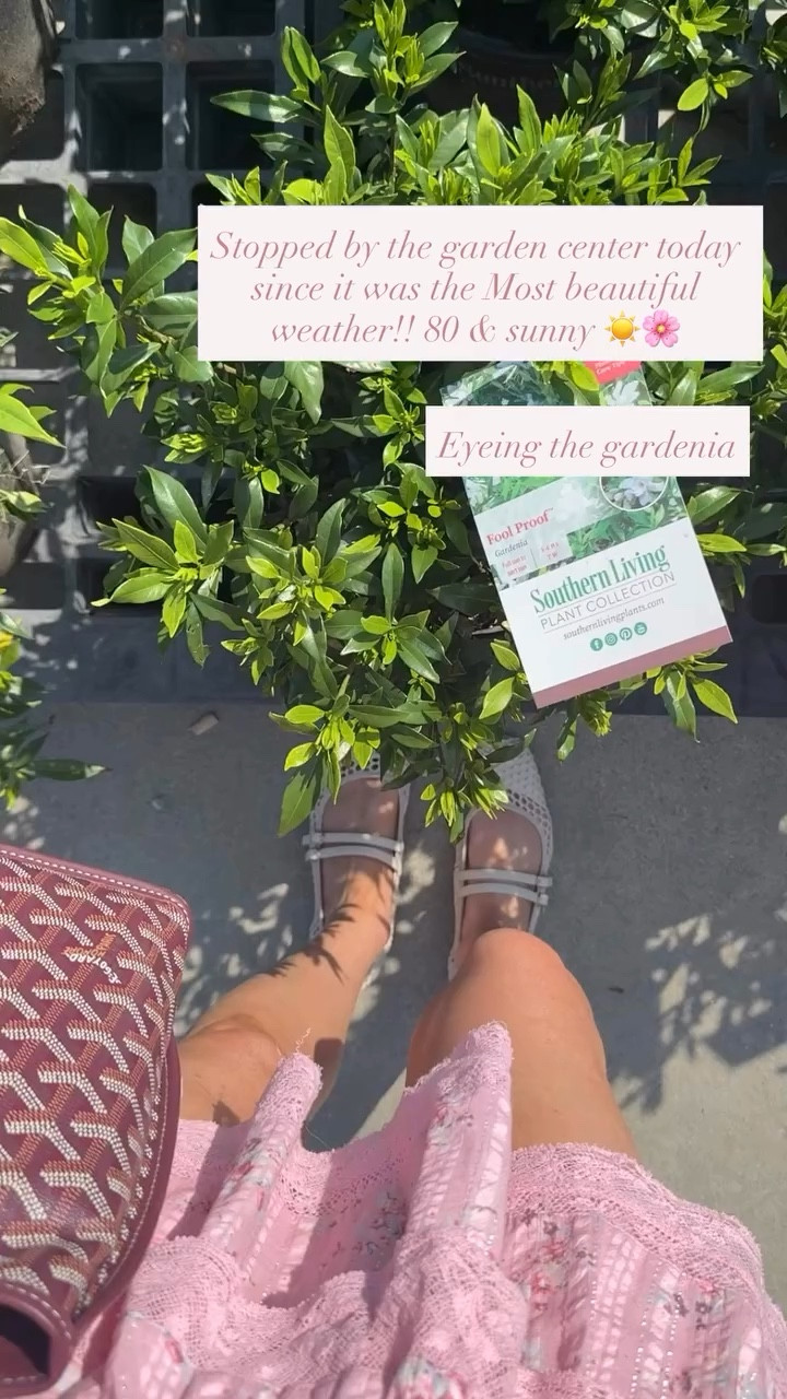Stopped by the garden center today since it was the Most beautiful weather!! 80 & sunny ☀️🌸 Eyeing the gardenia. Wore these comfy flats which are a Prada look for less. Runs true to size🤍 

#LTKootd #LTKSaleAlert #LTKSeasonal