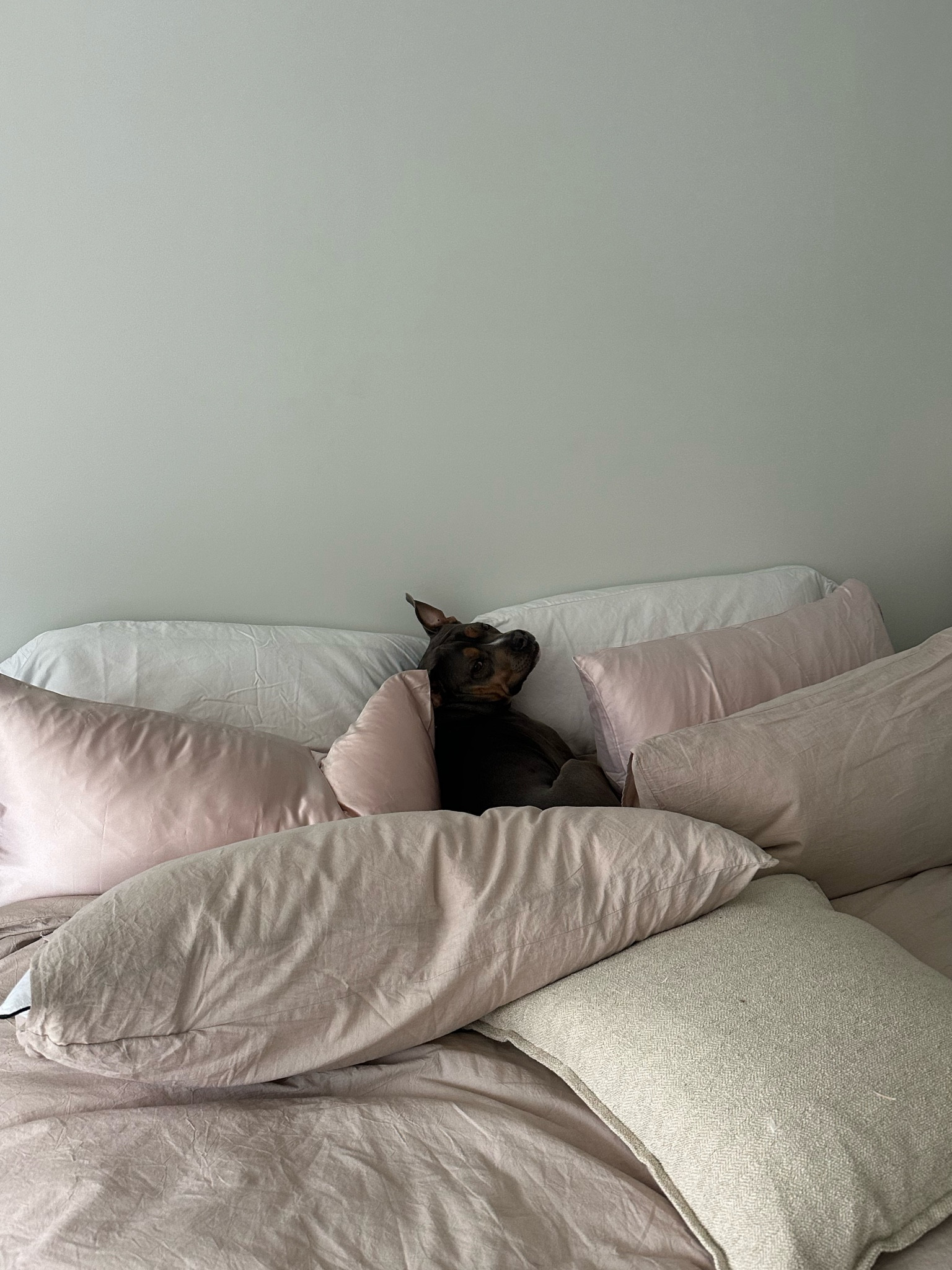 💞 bedding and pillows 