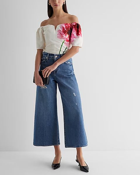 Floral V-Wire Off The Shoulder Puff Sleeve Top | Express