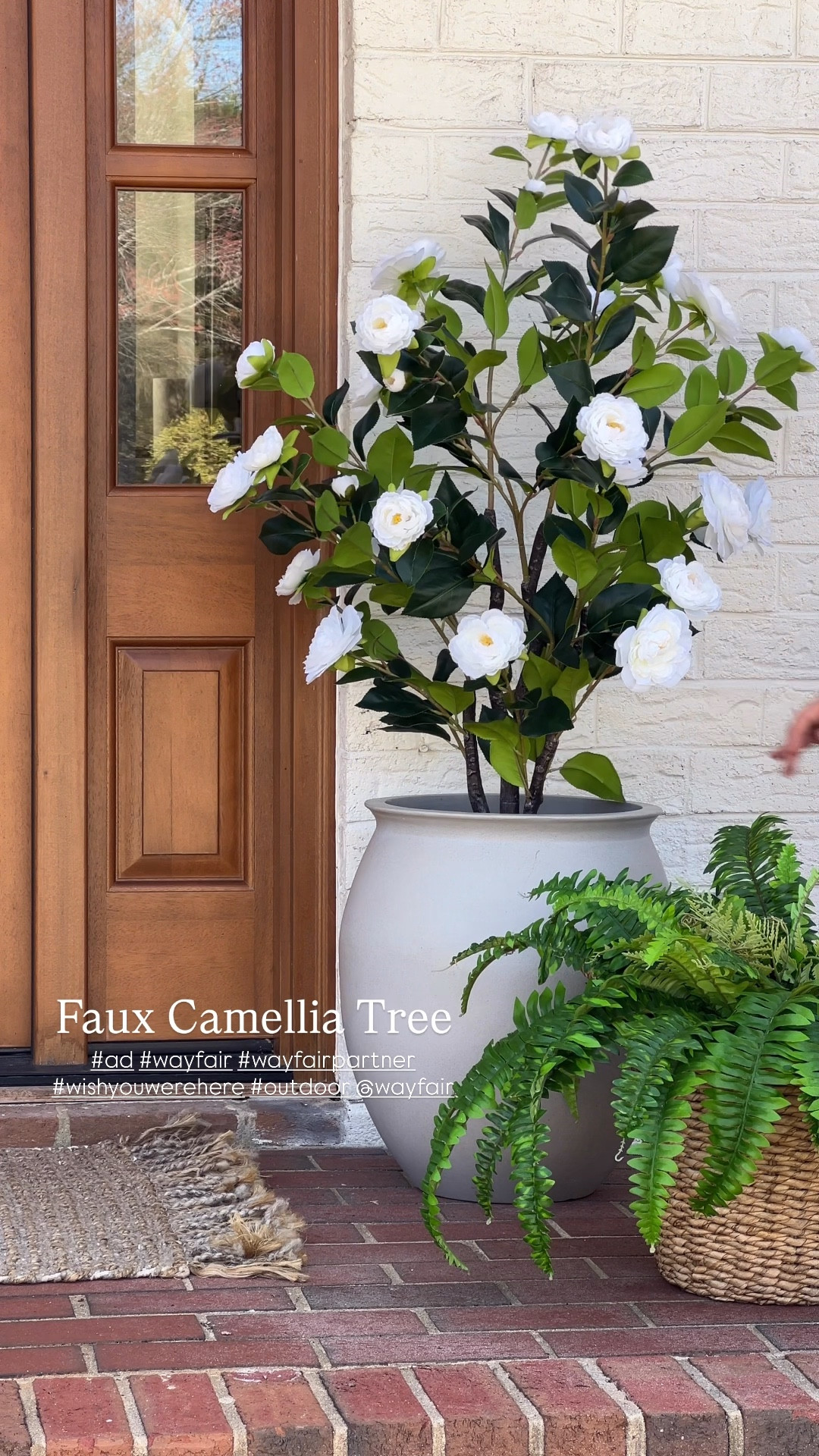 #ad ☀️ Patio season is here and I’m getting mine ready with all things  @Wayfair  #wayfair #wayfairpartner #wishyouwerehere #outdoor
Patio decor | outdoor rug | Loloi rug | outdoor furniture | outdoor side table | solar lights | solar lanterns | faux outdoor trees | cedar tree | camellia tree

#LTKSaleAlert #LTKHome #LTKSeasonal