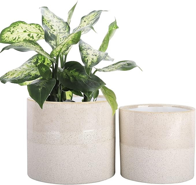 LA JOLIE MUSE Ceramic Round Planter Set for Indoor, Rustic Plant Pots with Textured Speckle Patte... | Amazon (US)