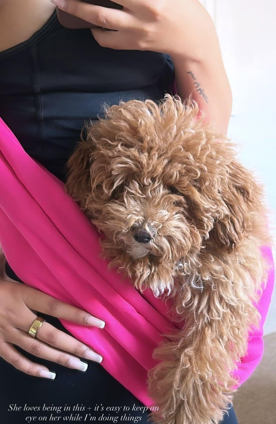 Sling carrier for my toy poodle 

#LTKPets