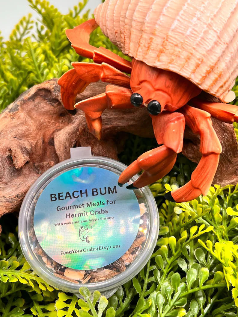 Complete Balanced Meal for hermit crabs,  Beach Bum with Mysis shrimp | Etsy (Global)