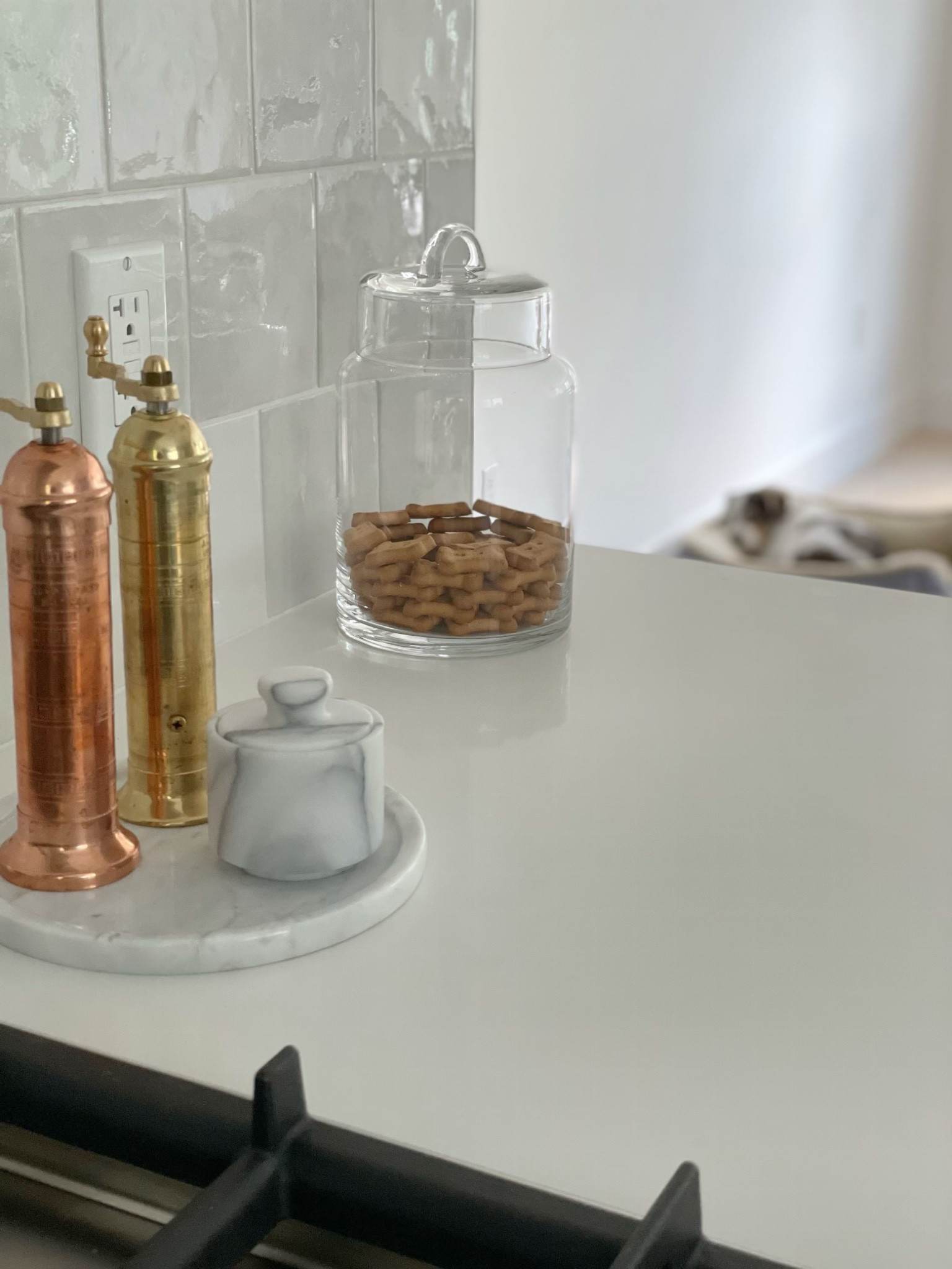 someone’s keeping an eye on their new treat jar.

#LTKhome