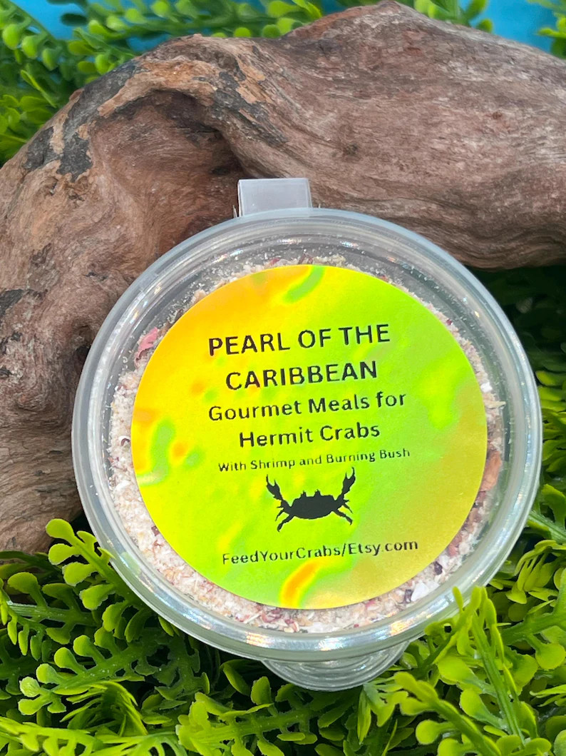 Complete Balanced Meal for hermit crabs, Pearl of the Caribbean with Shiner fish and Barnacles. | Etsy (Global)