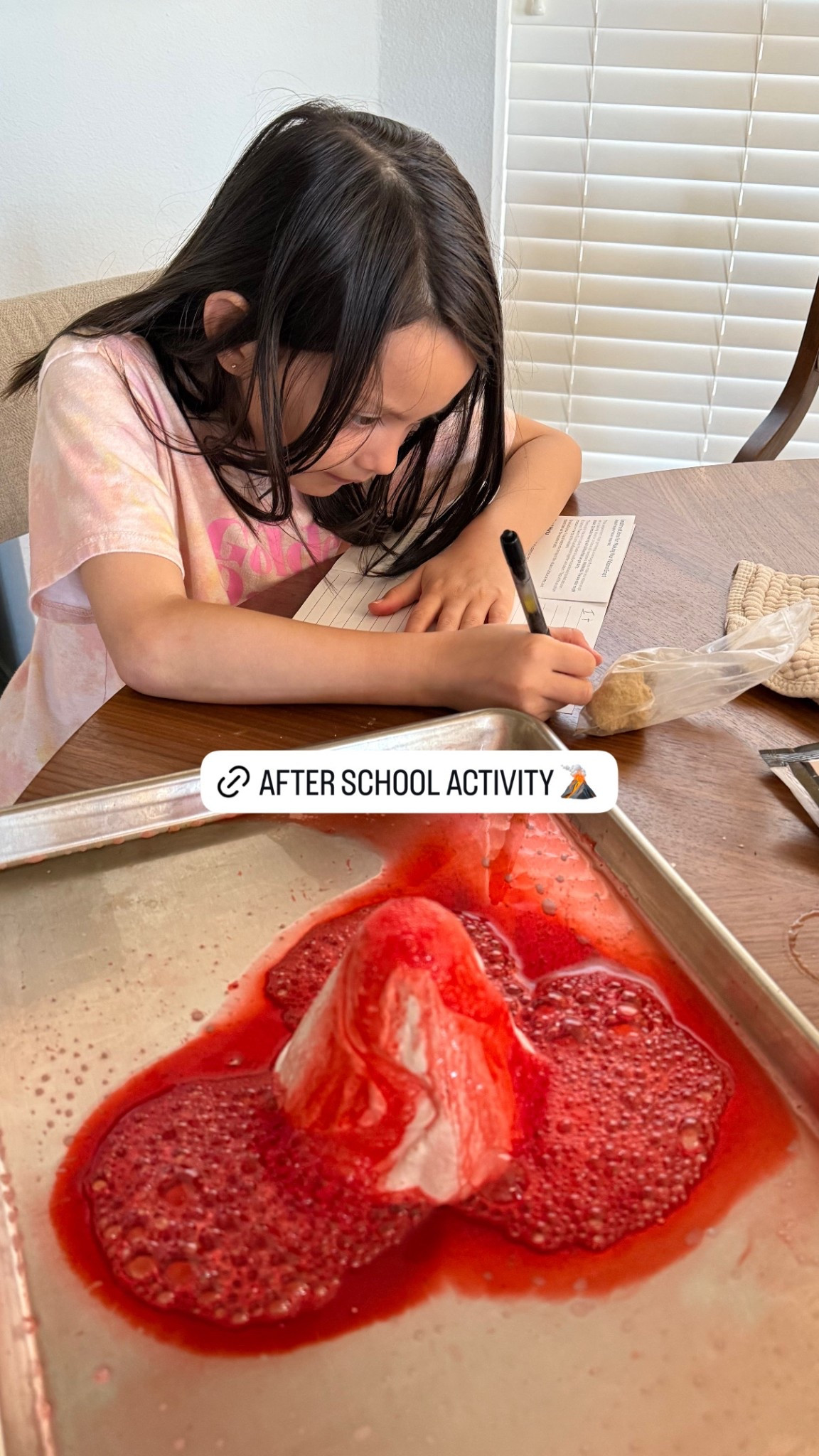 After school activity for kids interested in science 🧪 

#LTKKids