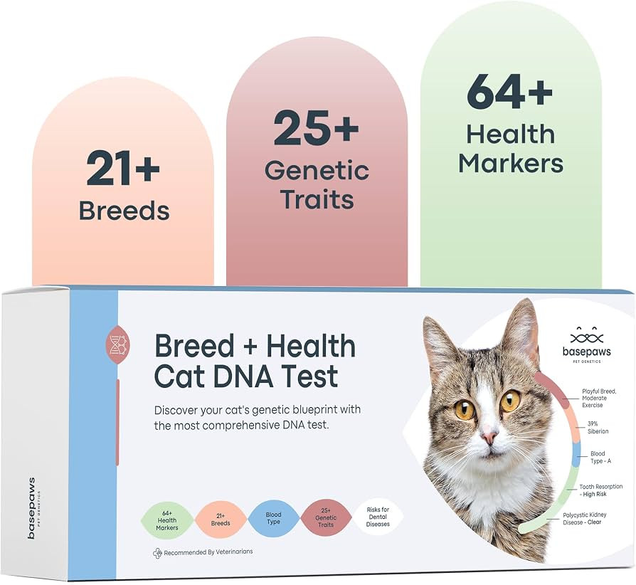 Basepaws Cat DNA Test Kit - Comprehensive Breed, Health and Dental Analysis Across 114 Traits for... | Amazon (US)